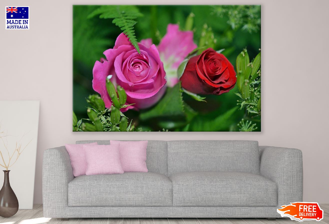 Pink & Red Roses Flower Closeup Photograph Print 100% Australian Made