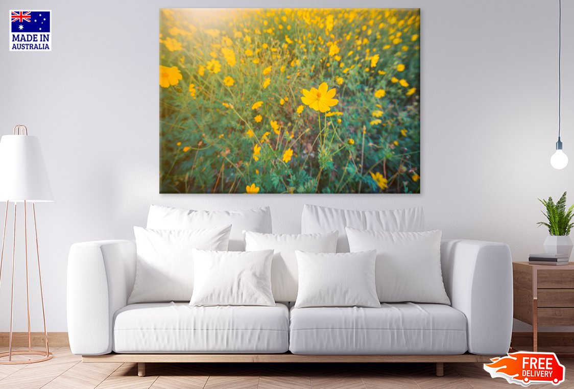 Yellow Flowers Photograph Print 100% Australian Made