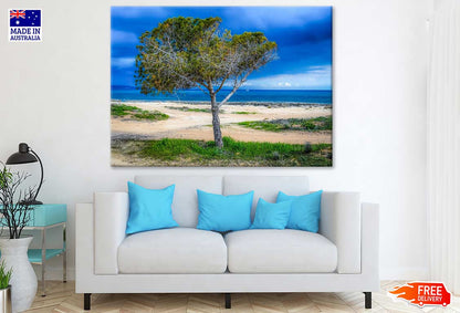 Tree & Sea Scenery Photograph Print 100% Australian Made