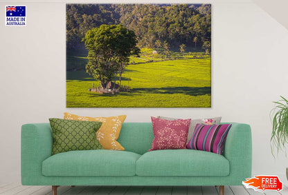 House & Huge Tree on Grass Field with Forest Scenery View Photograph Print 100% Australian Made