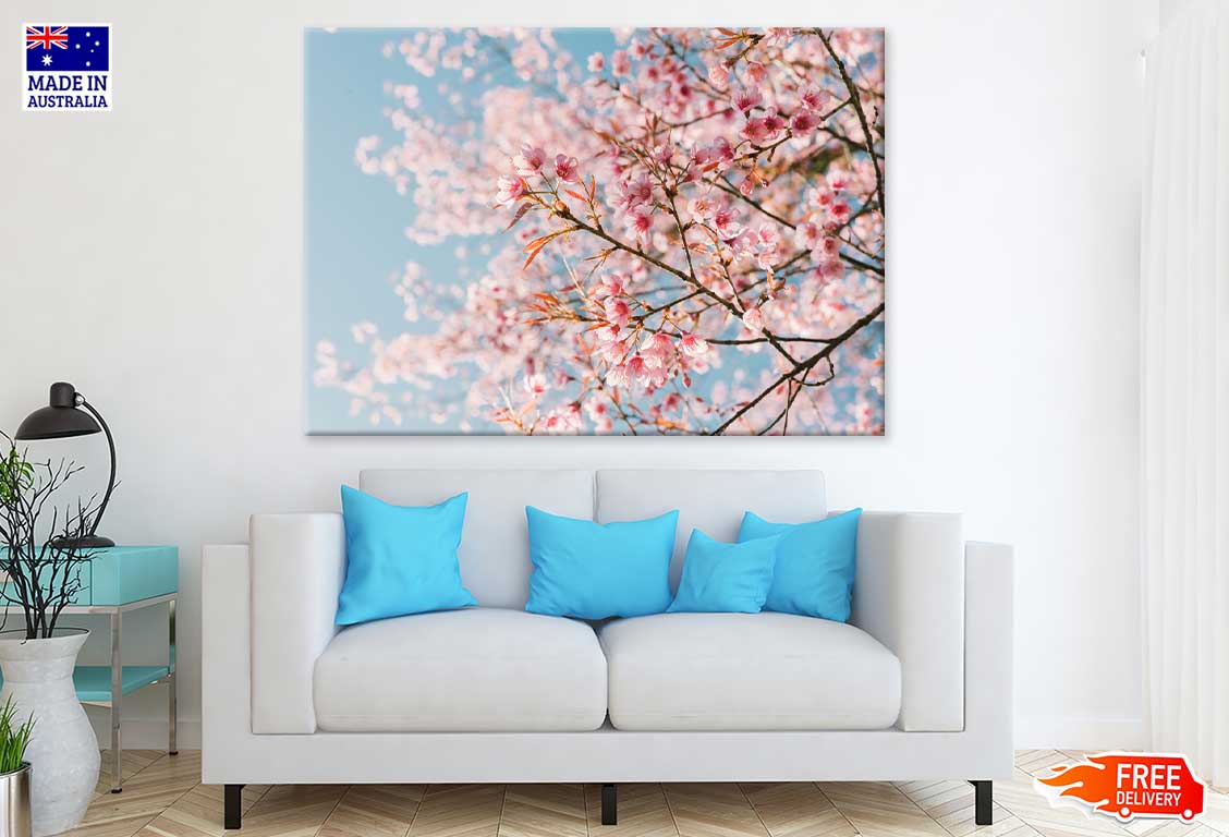 Pink Cherry Blossom Flowers View Photograph Print 100% Australian Made