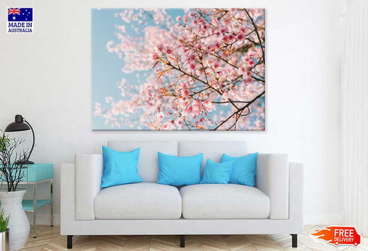 Pink Cherry Blossom Flowers View Photograph Print 100% Australian Made