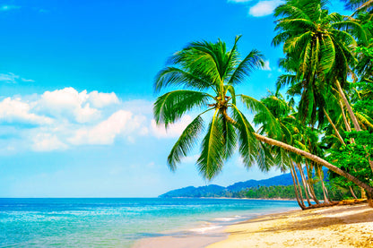 Tropical Beach with Palm Trees View Photograph Print 100% Australian Made
