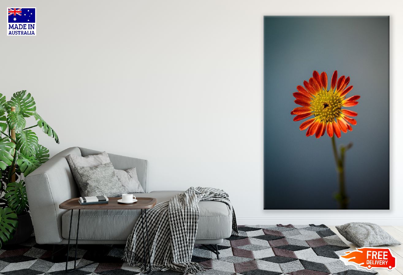 Red Gerbera Flower Closeup Photograph Print 100% Australian Made