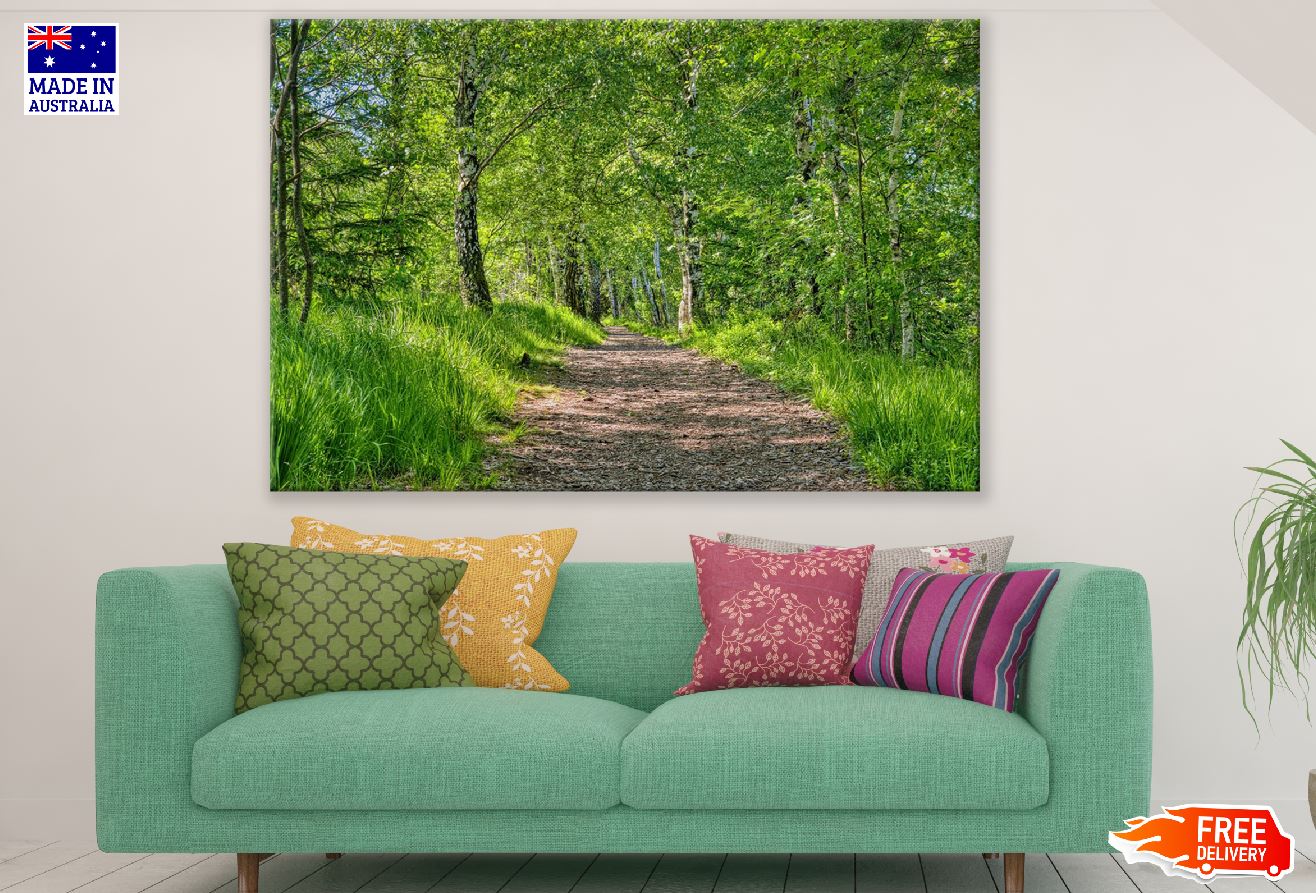 Green Forest & Pathway Photograph Print 100% Australian Made