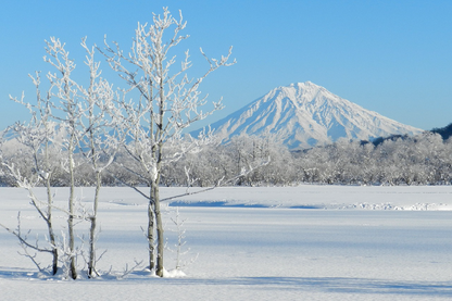 Snow Covered Forest & Mountain Scenery Photograph Print 100% Australian Made