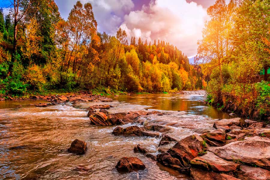 Bella Home River View in Autumn Forest Print Canvas Ready to hang