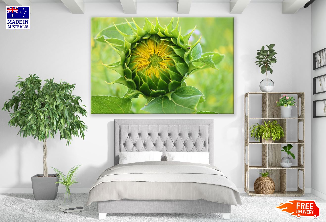 Sunflower Bud Closeup Photograph Print 100% Australian Made