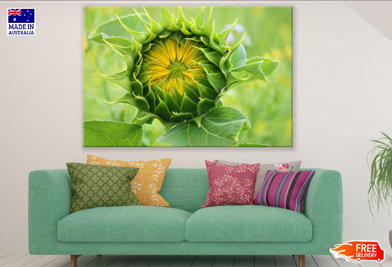 Sunflower Bud Closeup Photograph Print 100% Australian Made