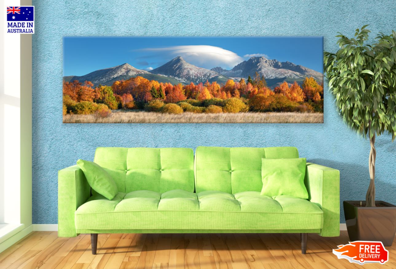 Panoramic Canvas Mountain & Forest Scenery Photograph High Quality 100% Australian made wall Canvas Print ready to hang