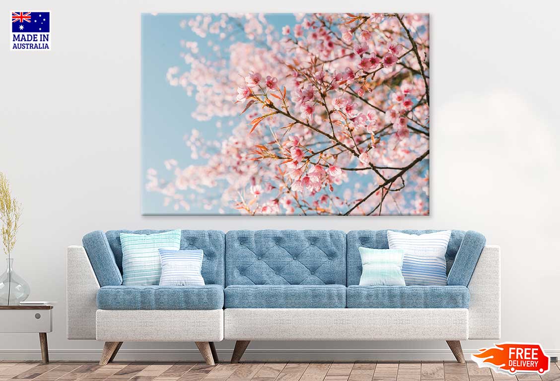 Pink Cherry Blossom Flowers View Photograph Print 100% Australian Made