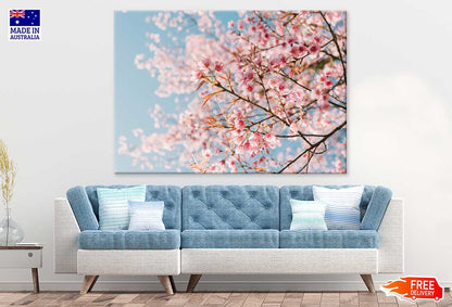 Pink Cherry Blossom Flowers View Photograph Print 100% Australian Made