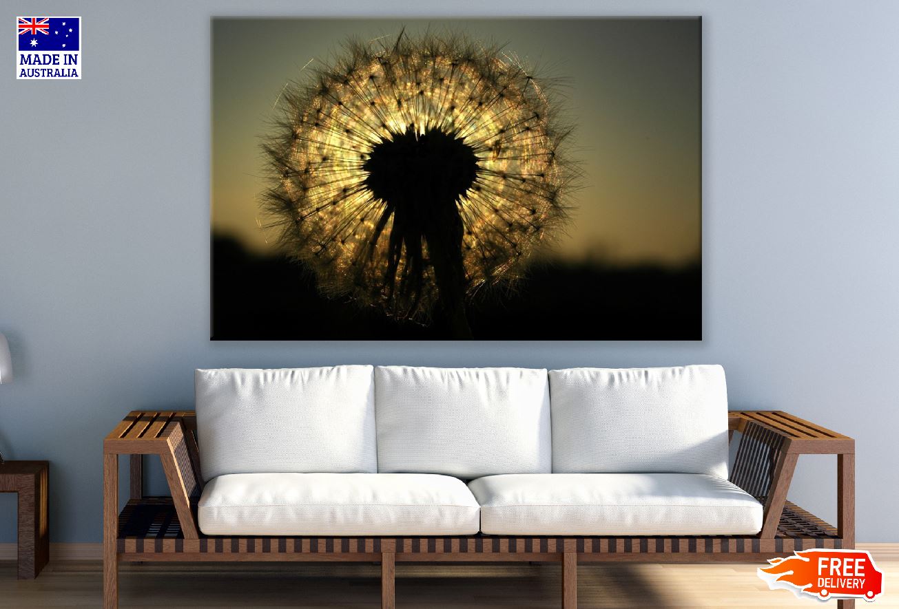 Dandelions on Sunset Photograph Print 100% Australian Made
