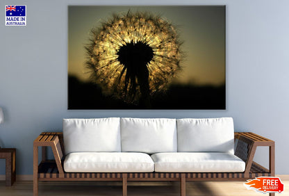 Dandelions on Sunset Photograph Print 100% Australian Made