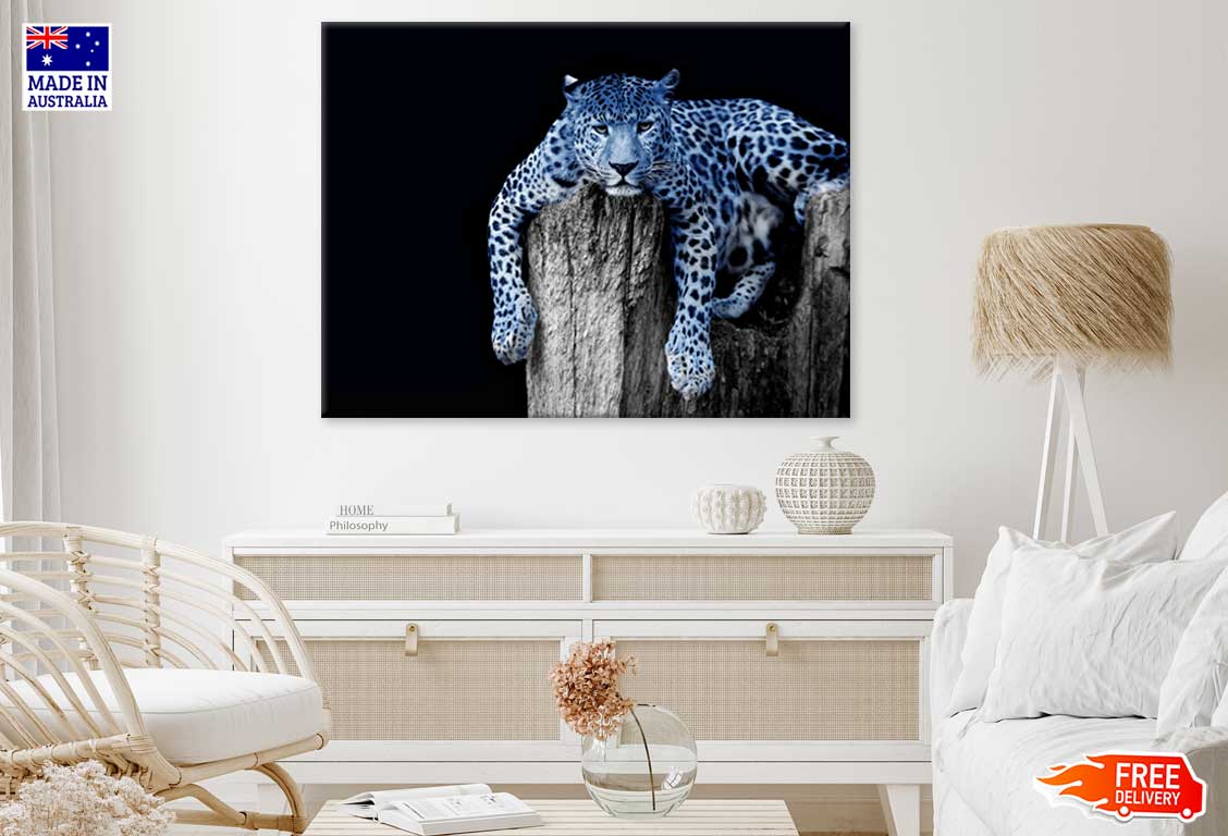 B&W & Blue Leopard Photograph Print 100% Australian Made