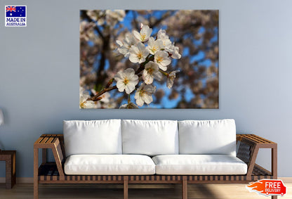 White Blossom Flowers Photograph Print 100% Australian Made