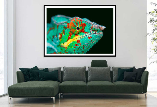 Chameleon Closeup View Photograph Home Decor Premium Quality Poster Print Choose Your Sizes