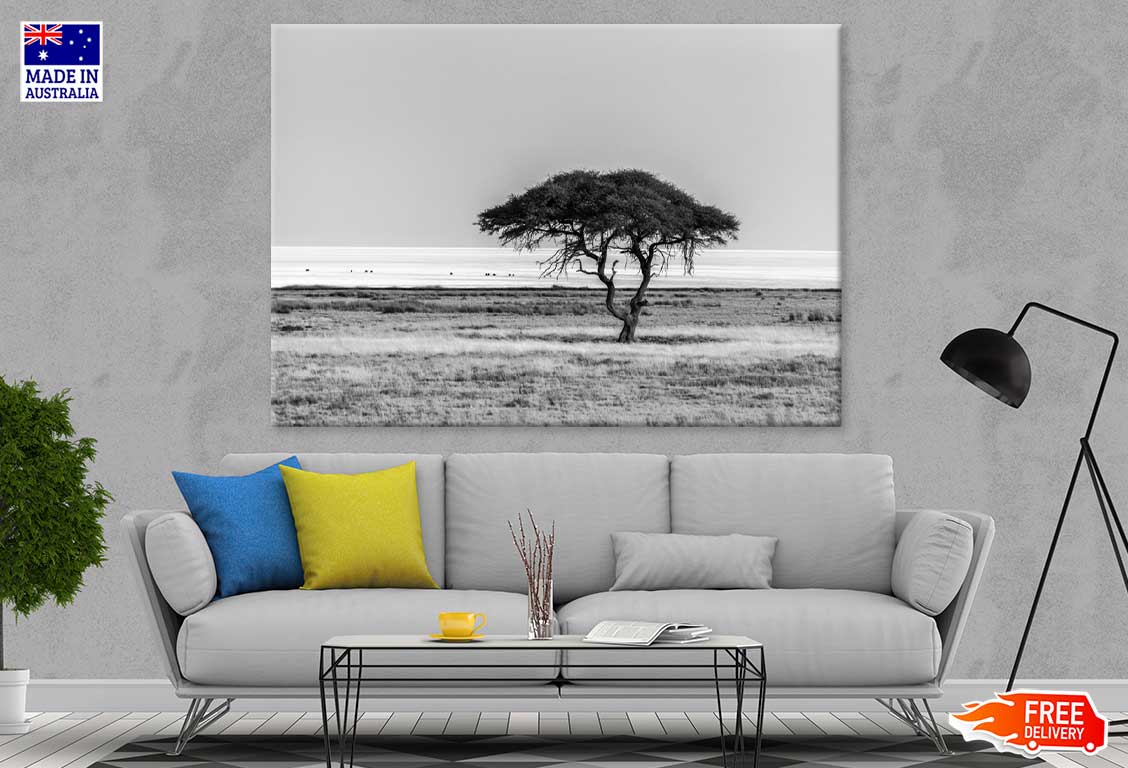 Lonely Tree in Field B&W View Photograph Print 100% Australian Made