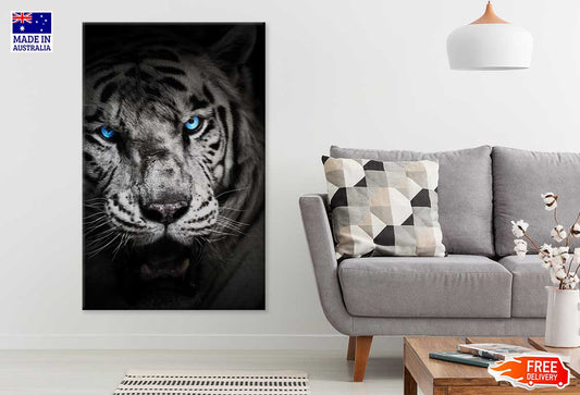 Blue Eyes Tiger Closeup Face B&W Photograph Print 100% Australian Made