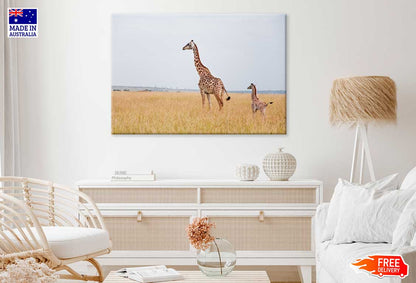 Giraffe with Baby Giraffe on Field View Photograph Print 100% Australian Made