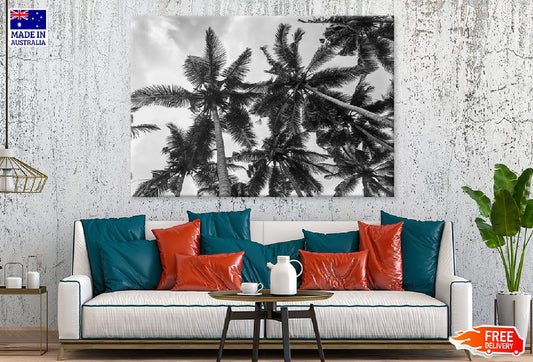 Palm Trees View From Below B&W Photograph Print 100% Australian Made