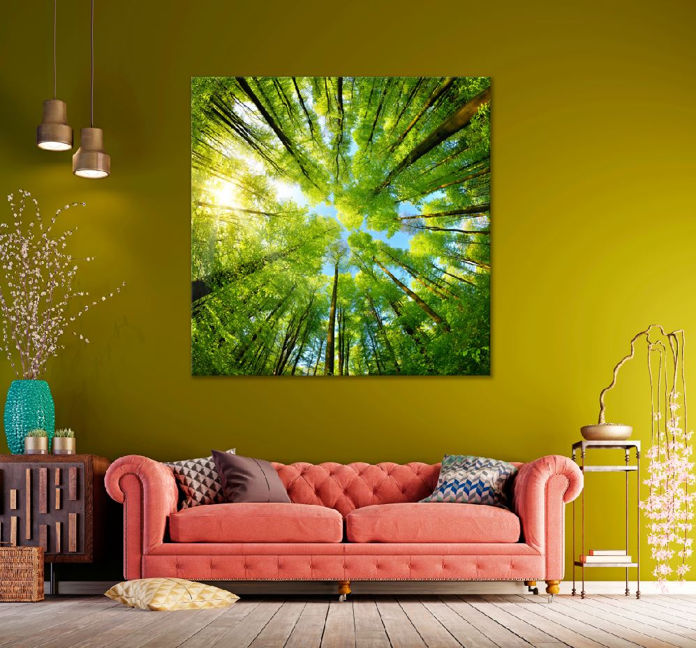 Square Canvas Green Trees & Sunshine View Photograph High Quality Print 100% Australian Made