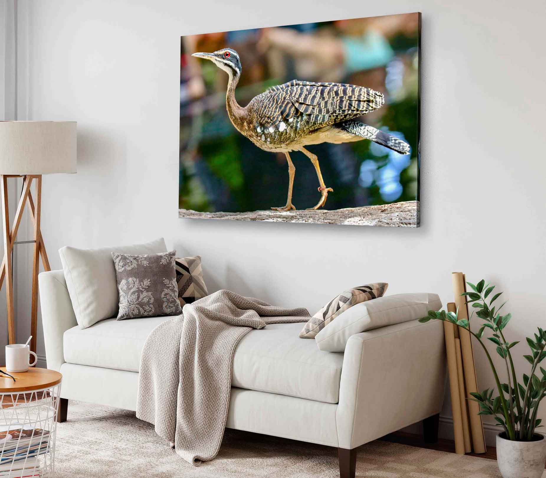 Bella Home Brown & White Eurypyga Helias Bird Print Canvas Ready to hang