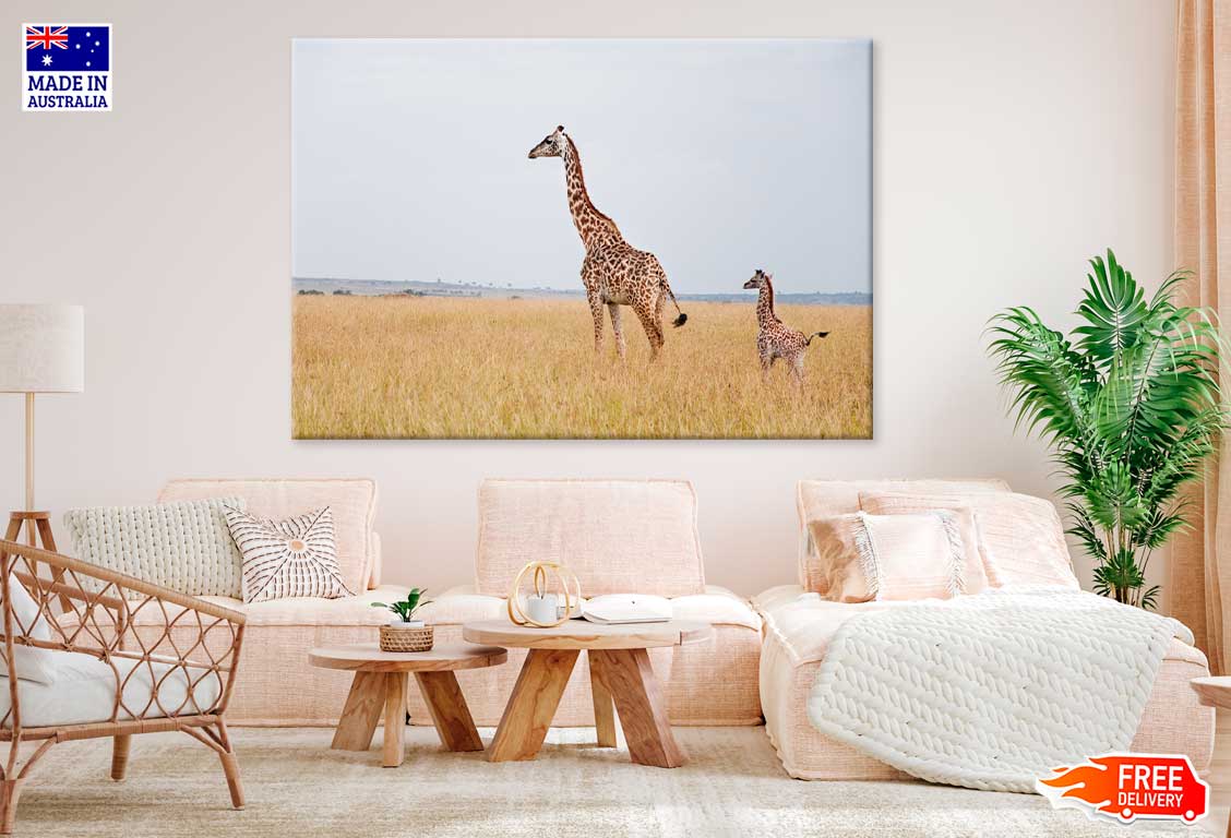 Giraffe with Baby Giraffe on Field View Photograph Print 100% Australian Made