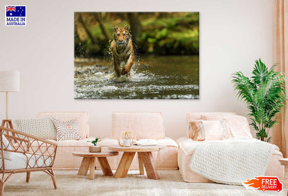 Tiger Running over Forest Lake View Photograph Print 100% Australian Made