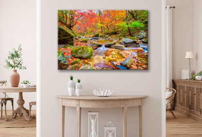 Bella Home Bangtaesan Mountain Autumn, Korea Print Canvas Ready to hang