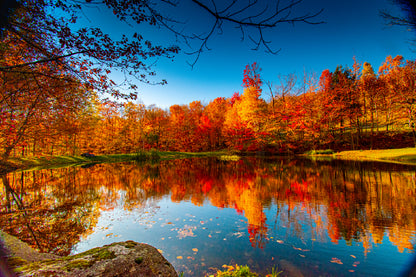 Red Autumn Trees Near Lake View Photograph Print 100% Australian Made