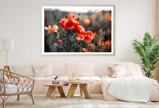 Orange Poppy Flowers Closeup View Home Decor Premium Quality Poster Print Choose Your Sizes