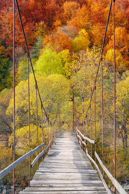 Suspension Bridge & Autumn Forest Scenery Photograph Print 100% Australian Made