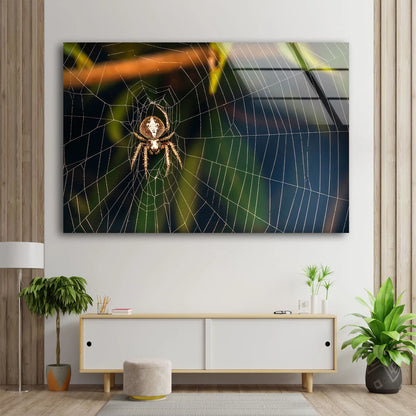 Spider on Web Photograph Acrylic Glass Print Tempered Glass Wall Art 100% Made in Australia Ready to Hang