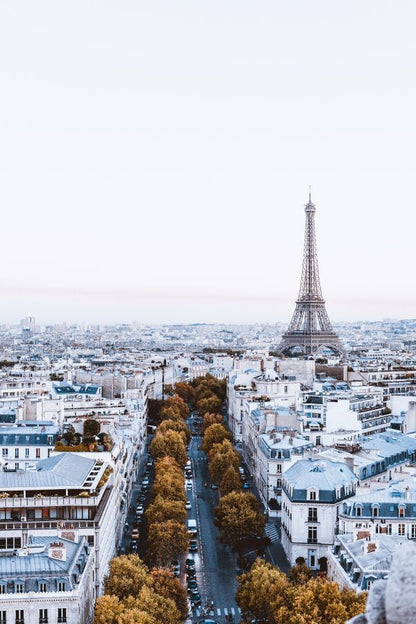 View on Eiffel Tower from Arc De Triomphe in Paris Print 100% Australian Made