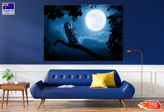 Bright Moon & Barred Owl on Tree Photograph Print 100% Australian Made