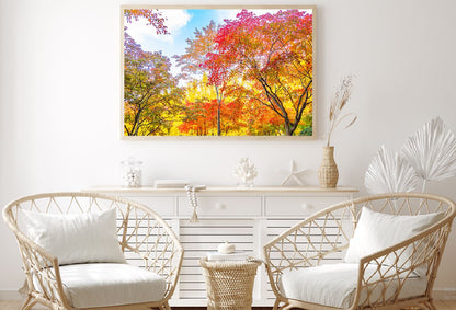 Yellow Orange Autumn Trees View Photograph Home Decor Premium Quality Poster Print Choose Your Sizes