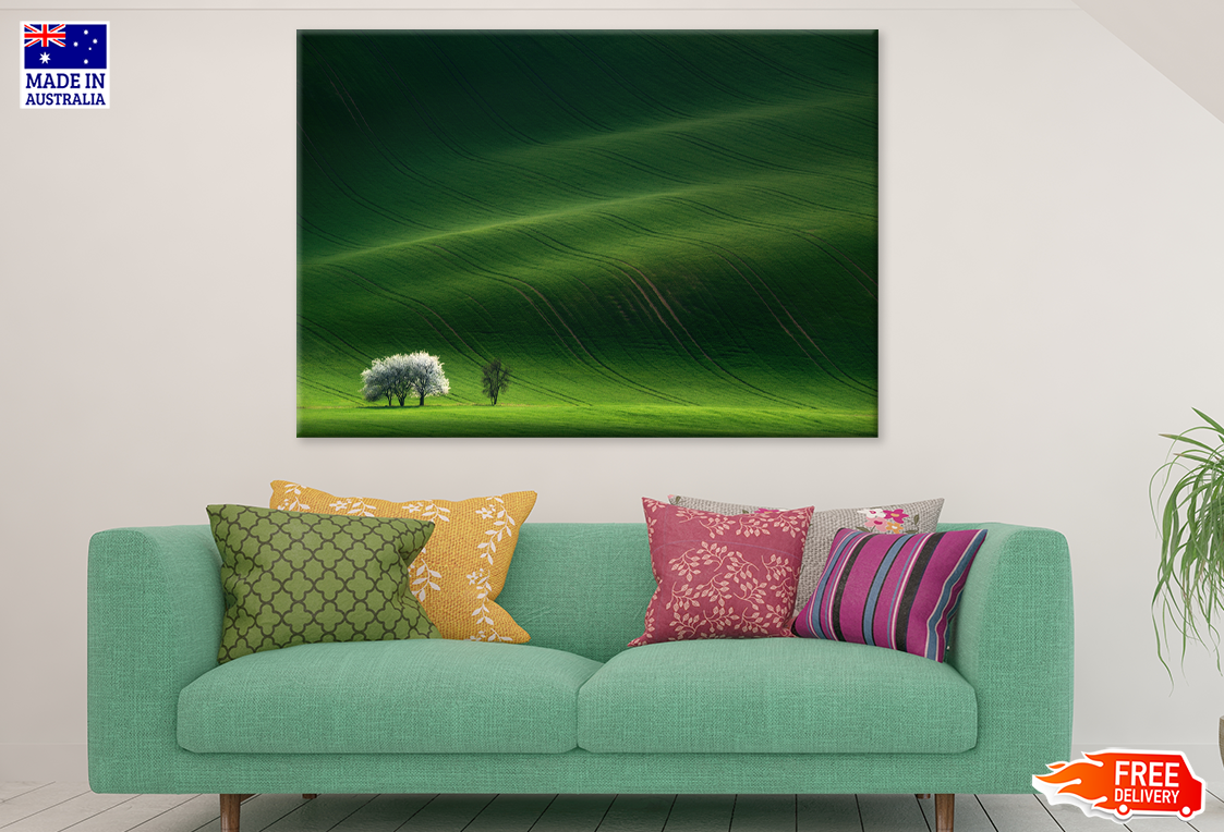Trees & Grass Field Backgrand Print 100% Australian Made