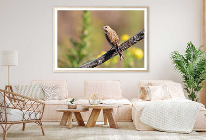 Young Bird on Branch Closeup View Photograph Home Decor Premium Quality Poster Print Choose Your Sizes