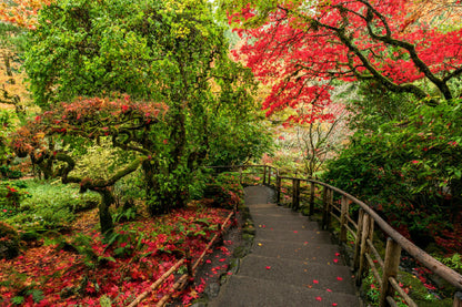 Bella Home Amazing Autumn Road to Park Print Canvas Ready to hang