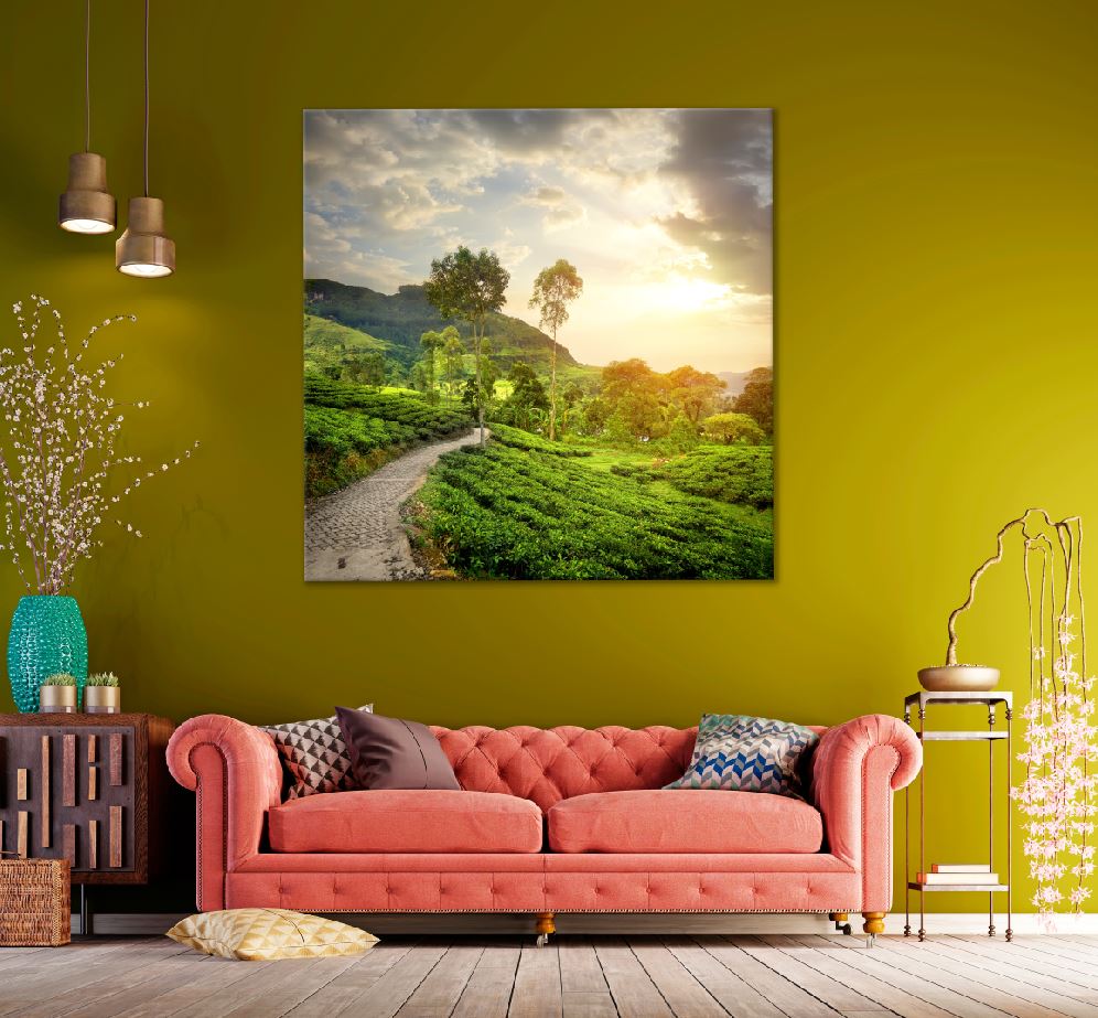 Square Canvas Green Tea Garden Nuwaraeliya Photograph High Quality Print 100% Australian Made