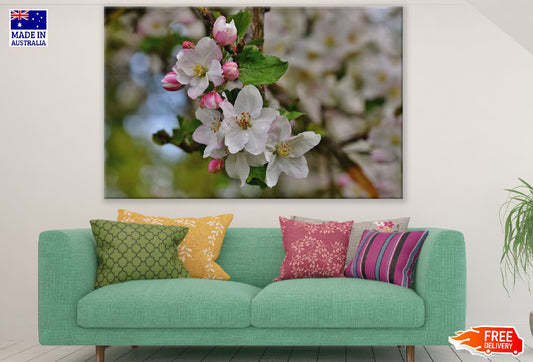 Cherry Blossom Flowers Photograph Print 100% Australian Made