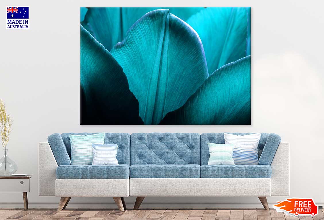 Blue Flower Petals Closeup View Photograph Print 100% Australian Made