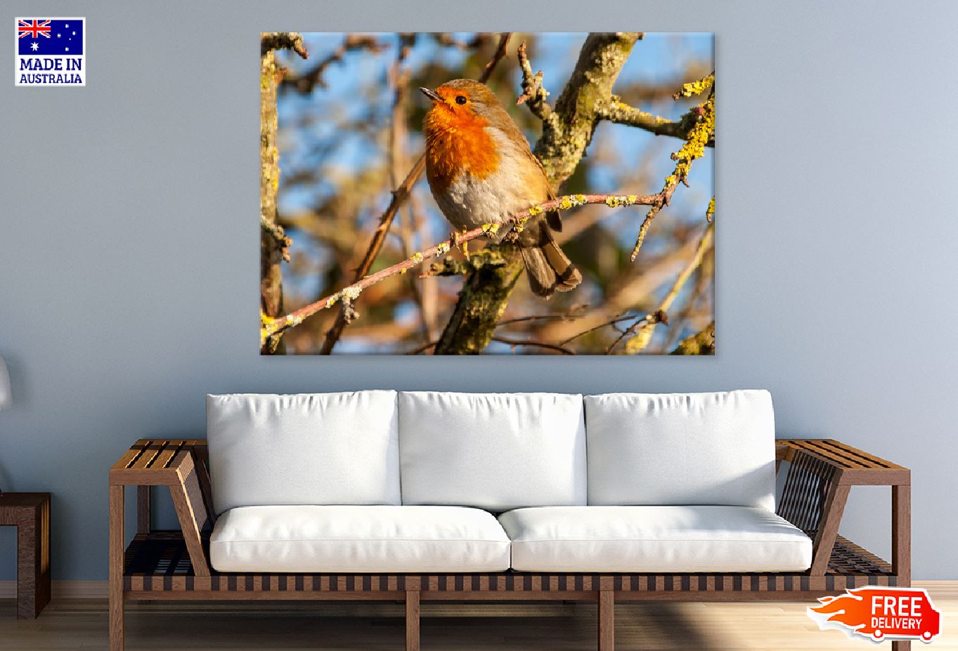 European Robin Bird on Tree View Photograph Print 100% Australian Made