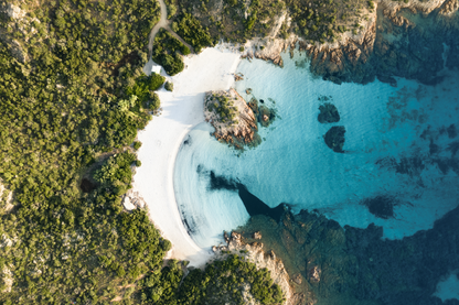 Mountain & Forest Sea Aerial View Print 100% Australian Made