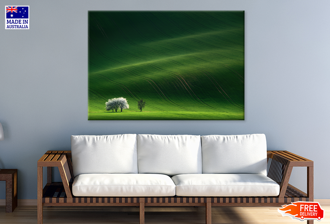 Trees & Grass Field Backgrand Print 100% Australian Made