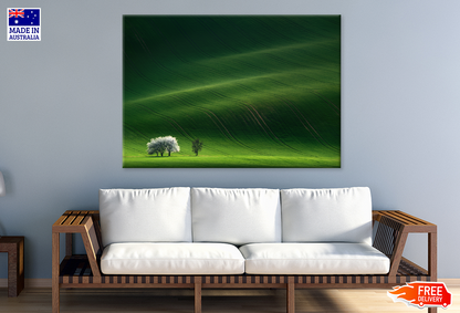 Trees & Grass Field Backgrand Print 100% Australian Made