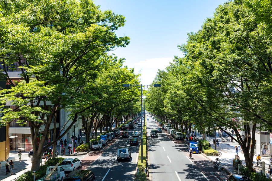 Japan Street Covered with Trees Photograph Print 100% Australian Made