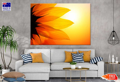 Sunflower Petals Sunset View Photograph Print 100% Australian Made