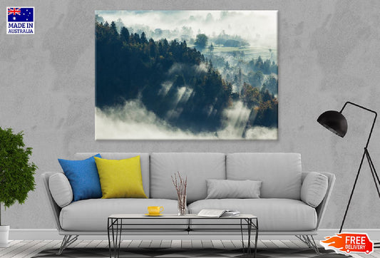 Forest Covered with Fog Aerial Photograph Print 100% Australian Made